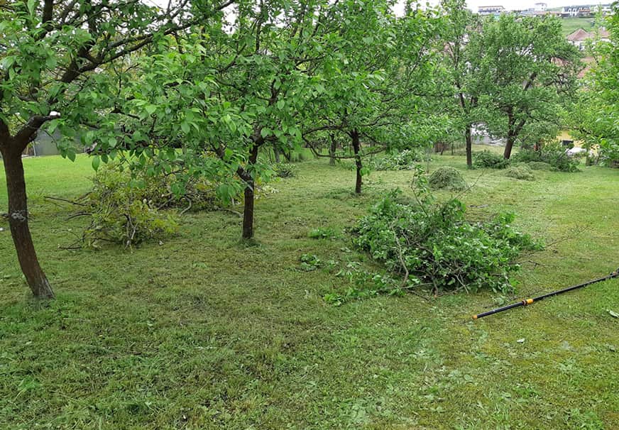 Sekání trávy Zlín – Pokosíme s.r.o.